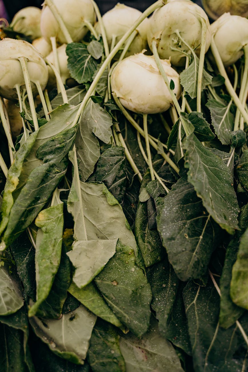 turnips and greens