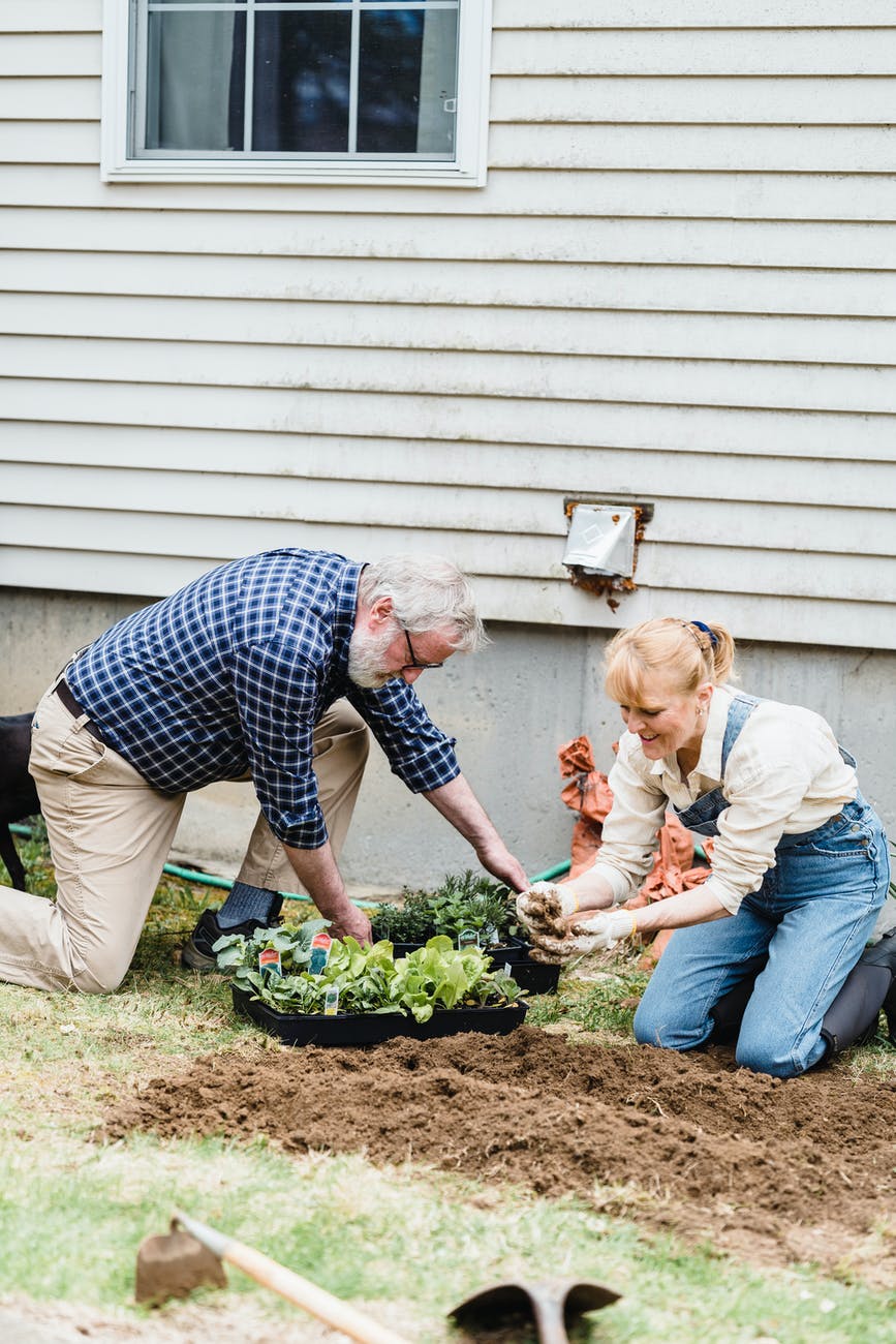 senior couple working together in garden; small garden