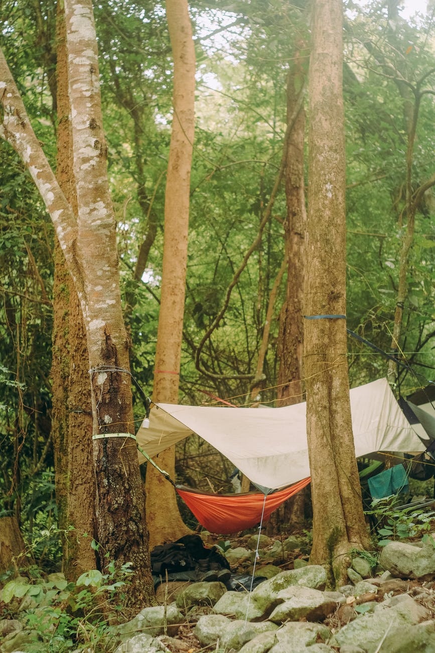emergency shelter, a tent with hammock under the trees