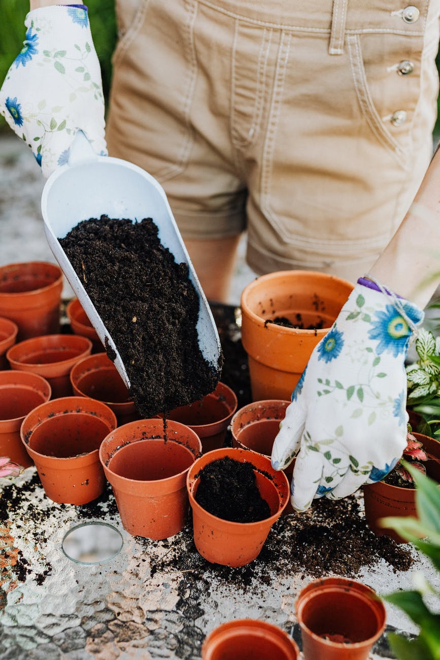 Person learning to start a garden as a hobby to keep the mind busy and cope with mental illness