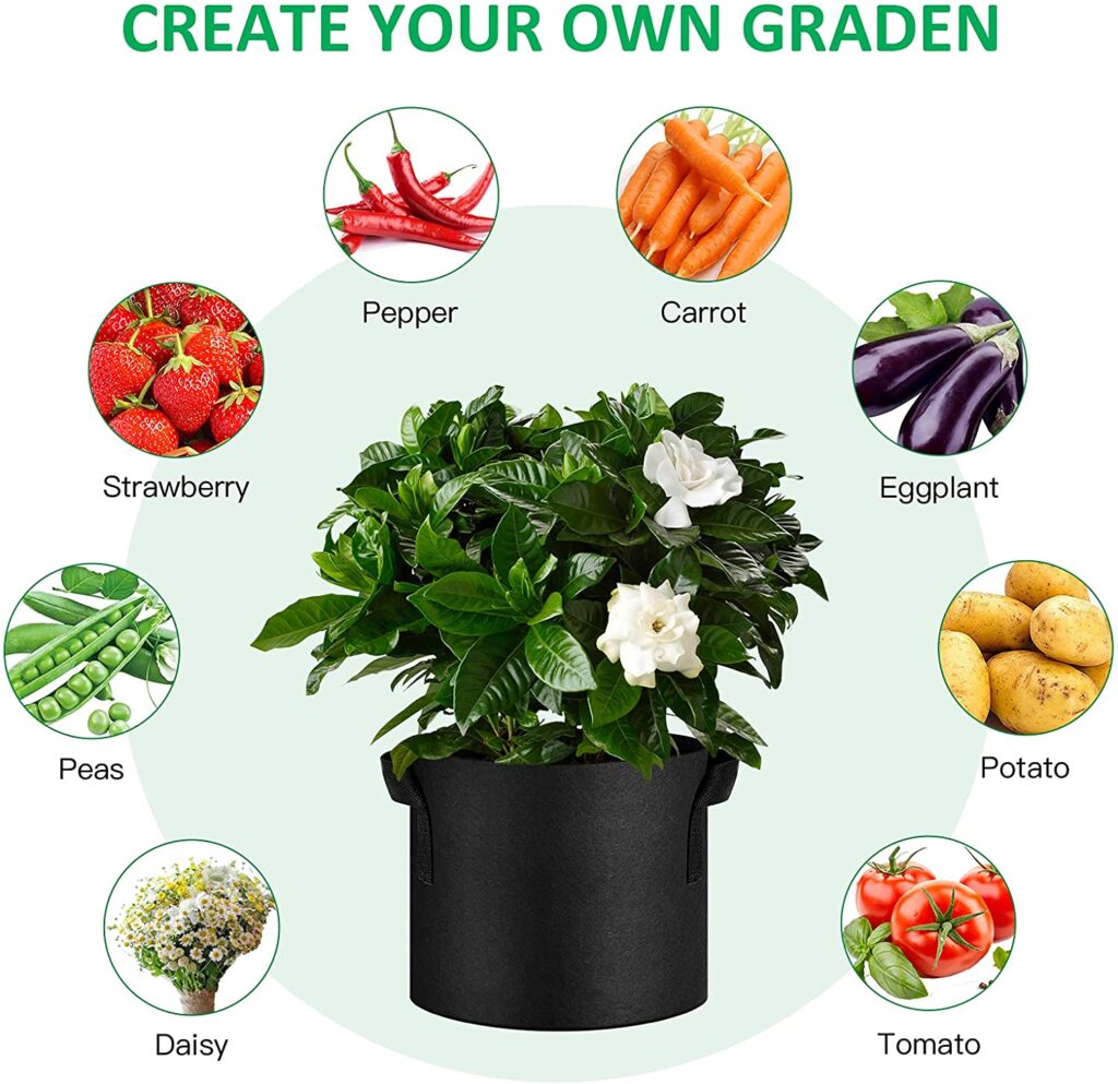 It is easy to grow fruits and vegetables in grow bags that can easily be moved around.