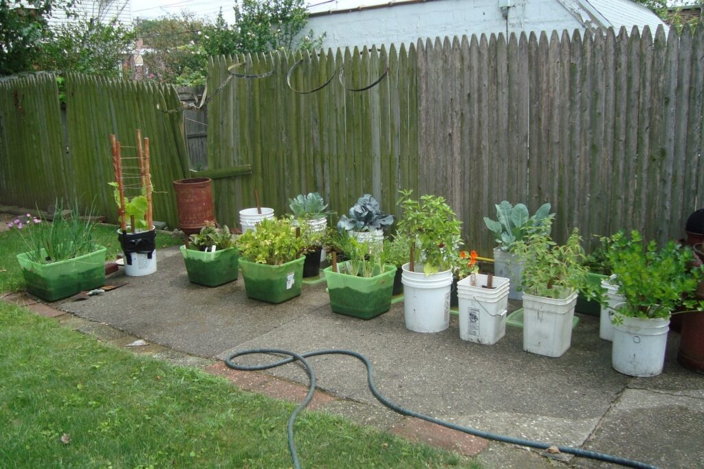 A survival garden can be started with any space available.
