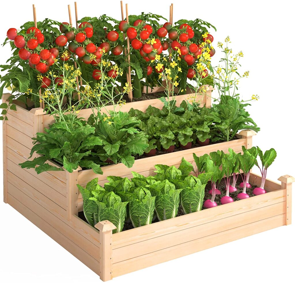 Raised garden based allows more growing in small spaces. 