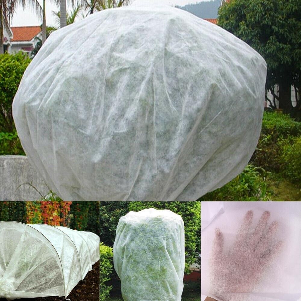 Protect your survival garden from frost with plastic sheets or garden covers.